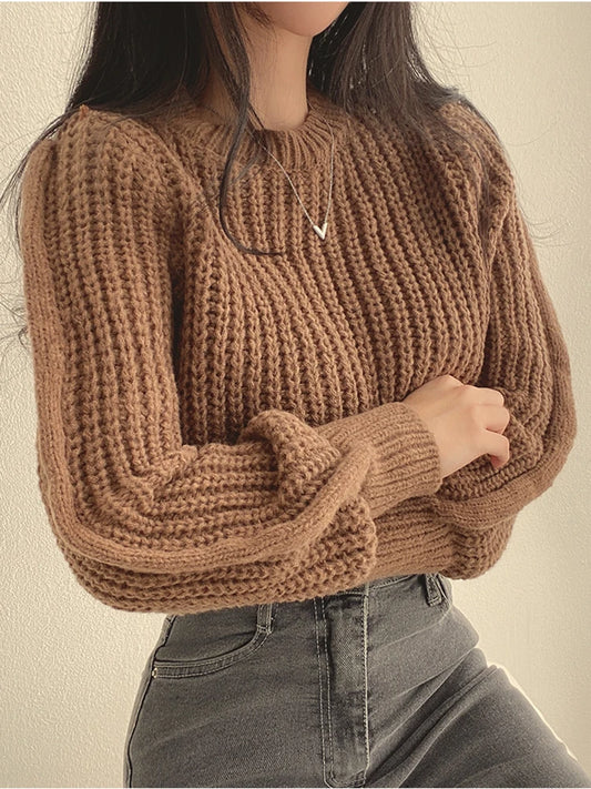 Chic Vintage Lantern Sleeve Women’s Sweater - HookUpCo.