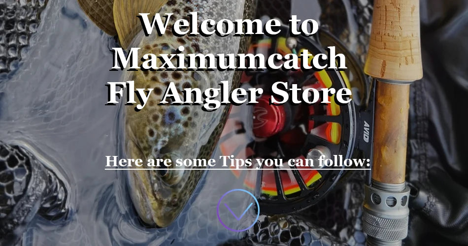 HookUpCo. Tungsten Bead Set 25pcs - HookUpCo.