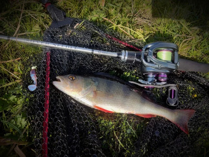 Fishing rod and reel with freshwater fish and lure on landing net outdoors