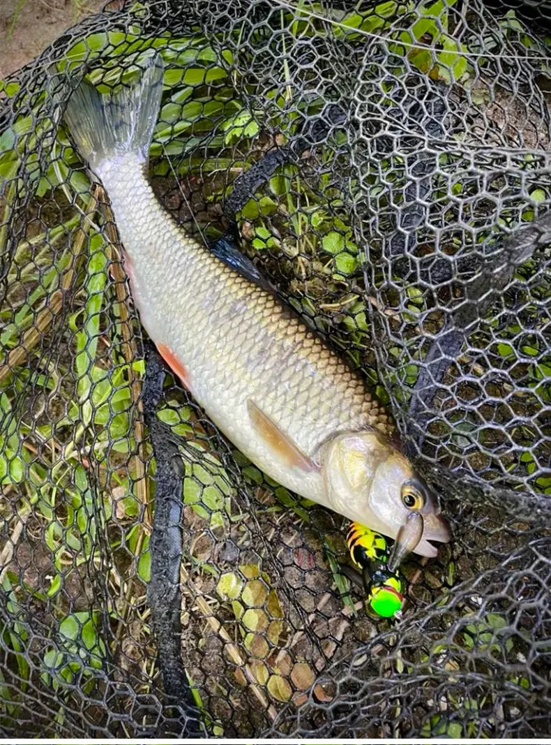 HookUpCo. Wasp Swimbait Lures 40mm - HookUpCo.