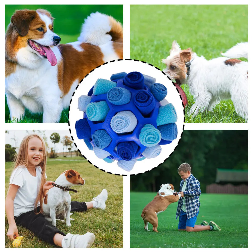 HookUpCo. Sniffing Ball for Fun Puppy Training