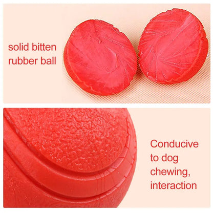 HookUpCo. Durable Rubber Dog Ball for Play