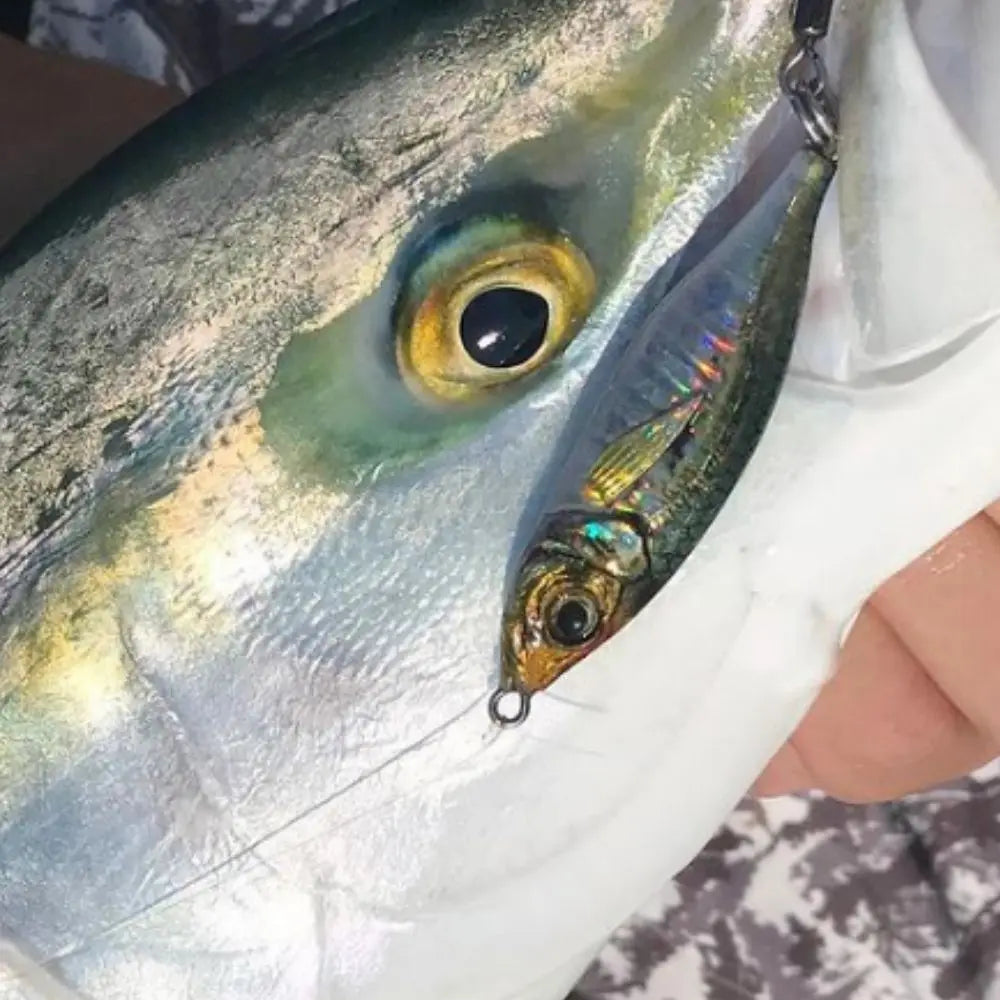 HookUpCo. Sea Fishing Jig Bait