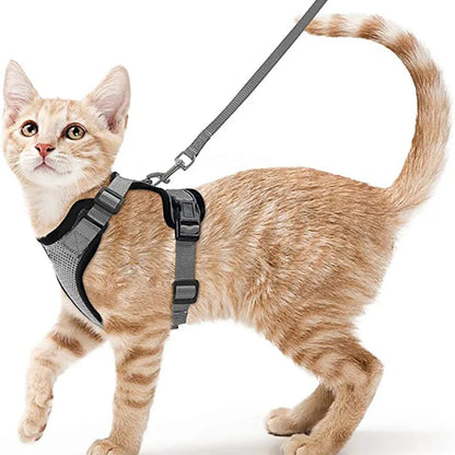 HookUpCo. Escape-Proof Cat Harness and Leash