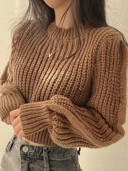 Chic Vintage Lantern Sleeve Women’s Sweater - HookUpCo.