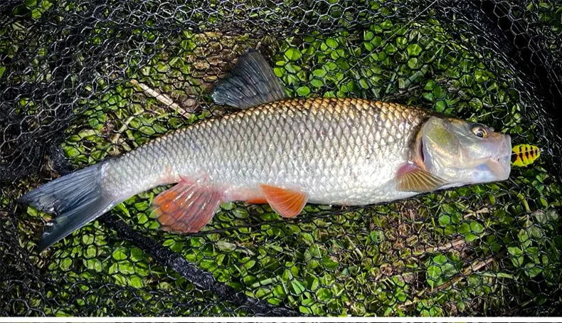 HookUpCo. Wasp Swimbait Lures 40mm - HookUpCo.