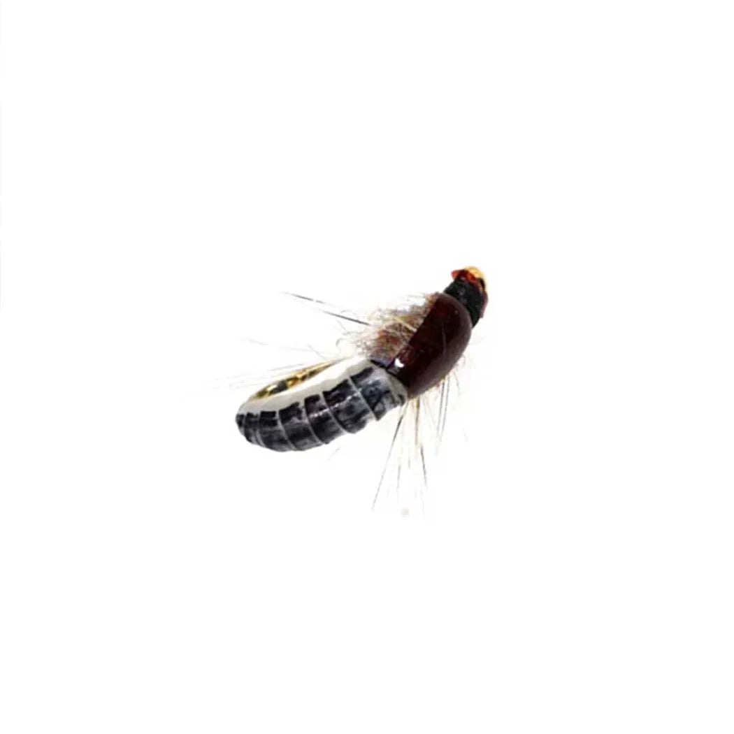 HookUpCo. Realistic Trout Lures - HookUpCo.