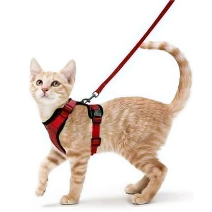 HookUpCo. Escape-Proof Cat Harness and Leash
