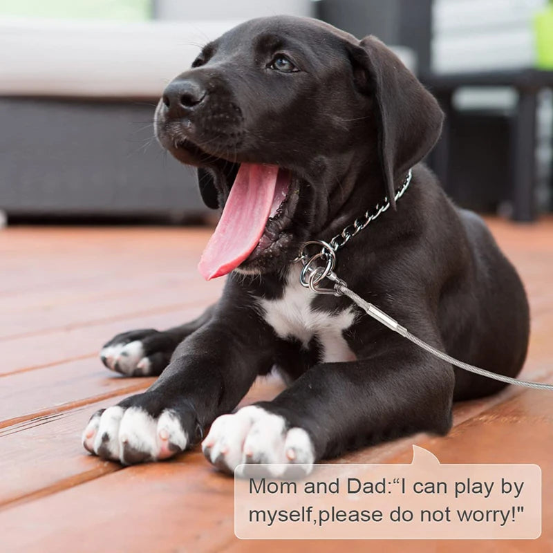 Double-Headed Dog Tie Out Cable Leash with Metal Buckle