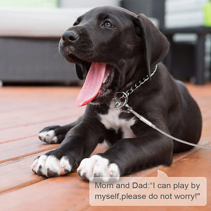 Double-Headed Dog Tie Out Cable Leash with Metal Buckle