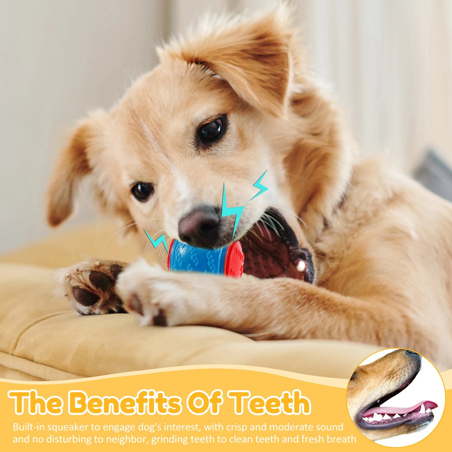 HookUpCo. 6-Pack Squeaky Dog Chew Balls