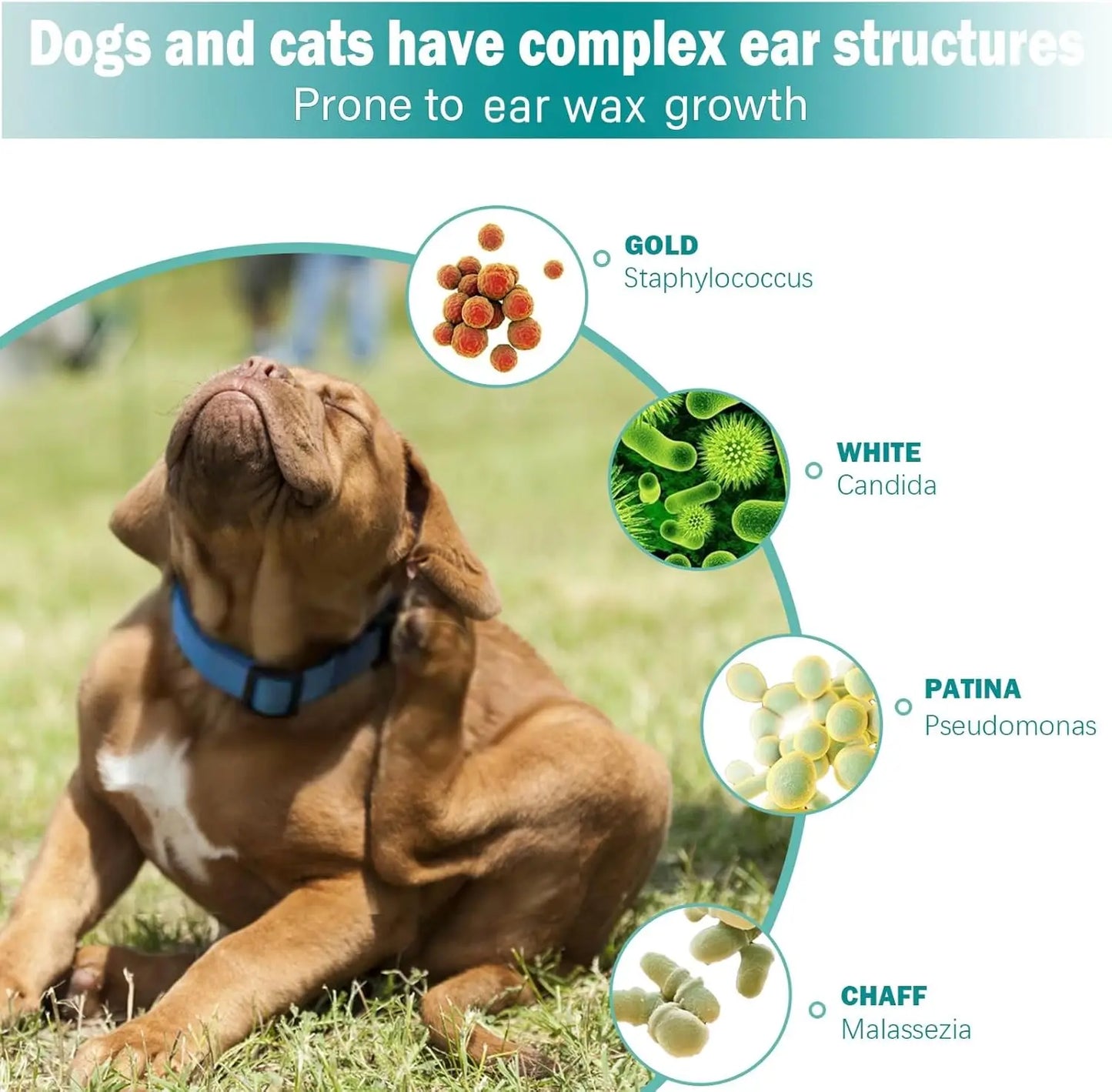 Gentle Pet Ear Wipes for Cats and Dogs, Soothing Clean Pads