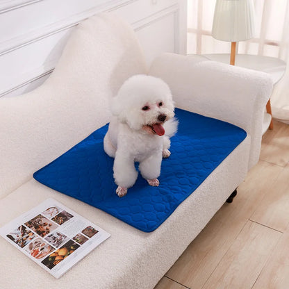 HookUpCo. Washable Anti-Slip Dog Pee Pad