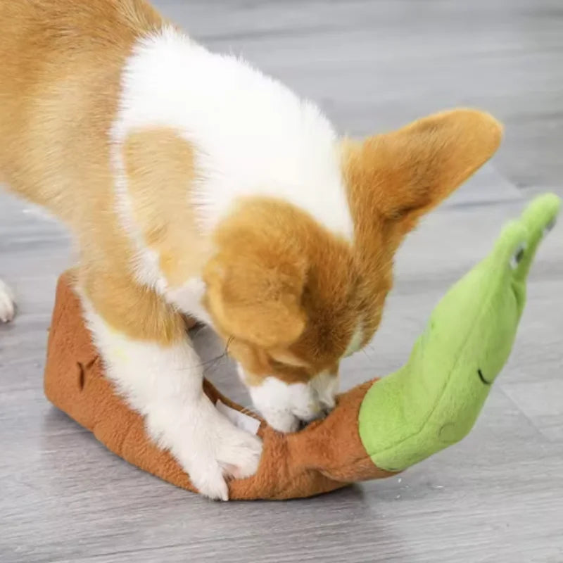 HookUpCo. Snail Toys for Fun Pet Training