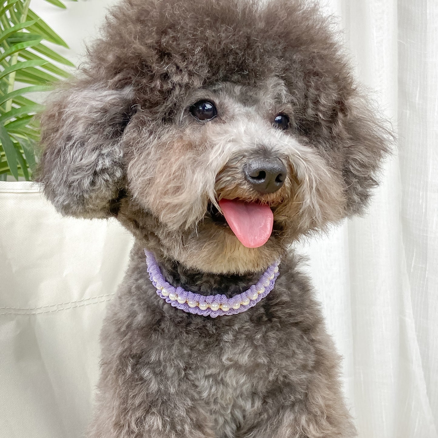 Elegant Pearl and Lace Adjustable Pet Collar for Stylish Pets