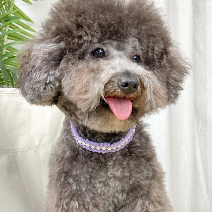 Elegant Pearl and Lace Adjustable Pet Collar for Stylish Pets