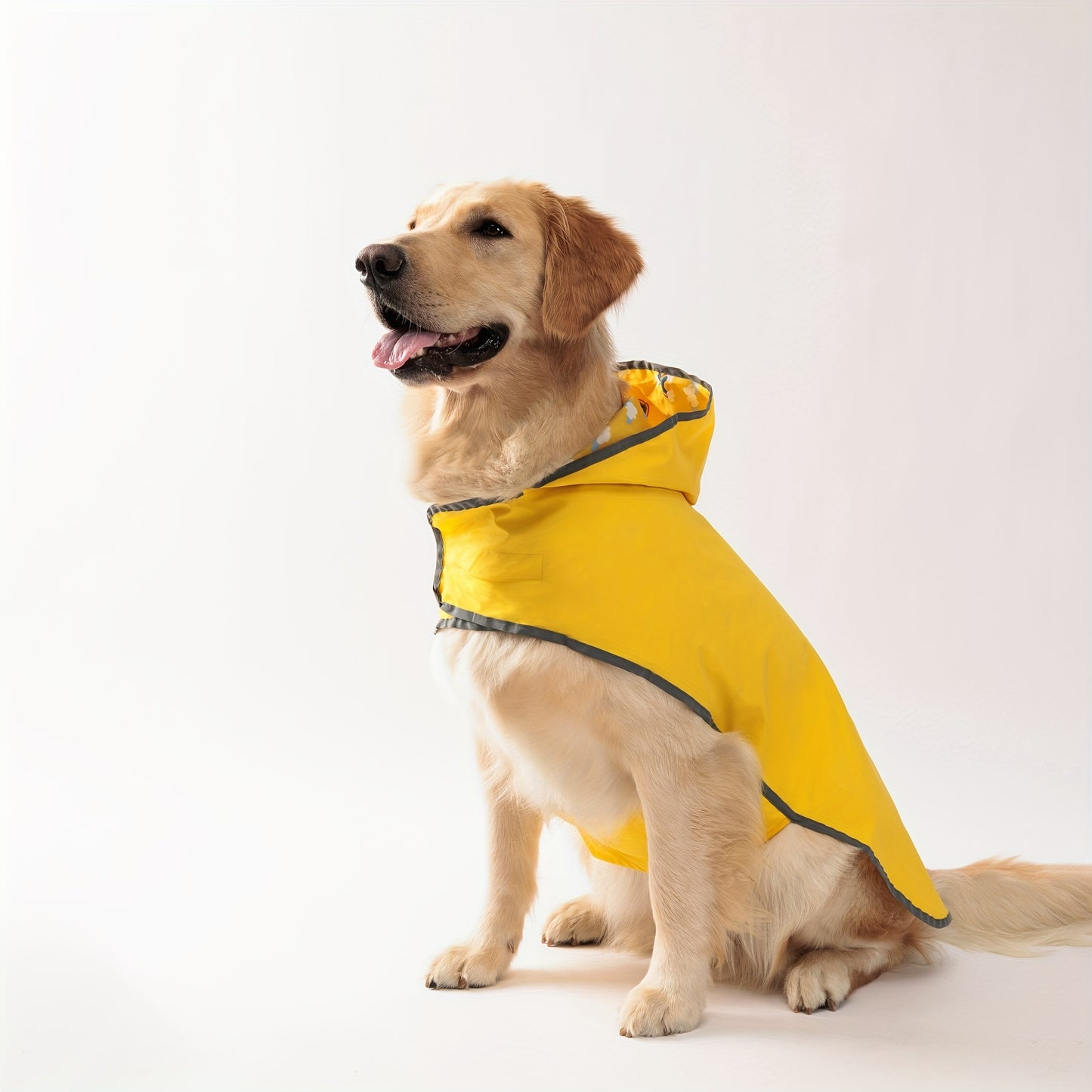 Reversible Dog Raincoat, Adjustable, Duck Print